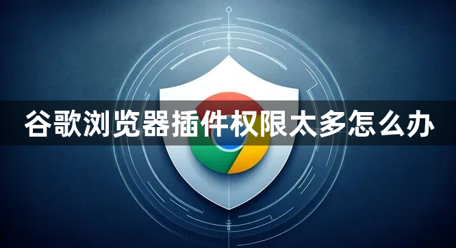 谷歌浏览器插件权限太多怎么办1