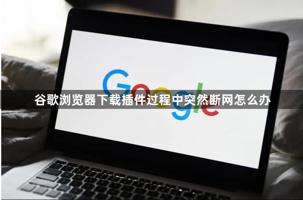 谷歌浏览器下载插件过程中突然断网怎么办1