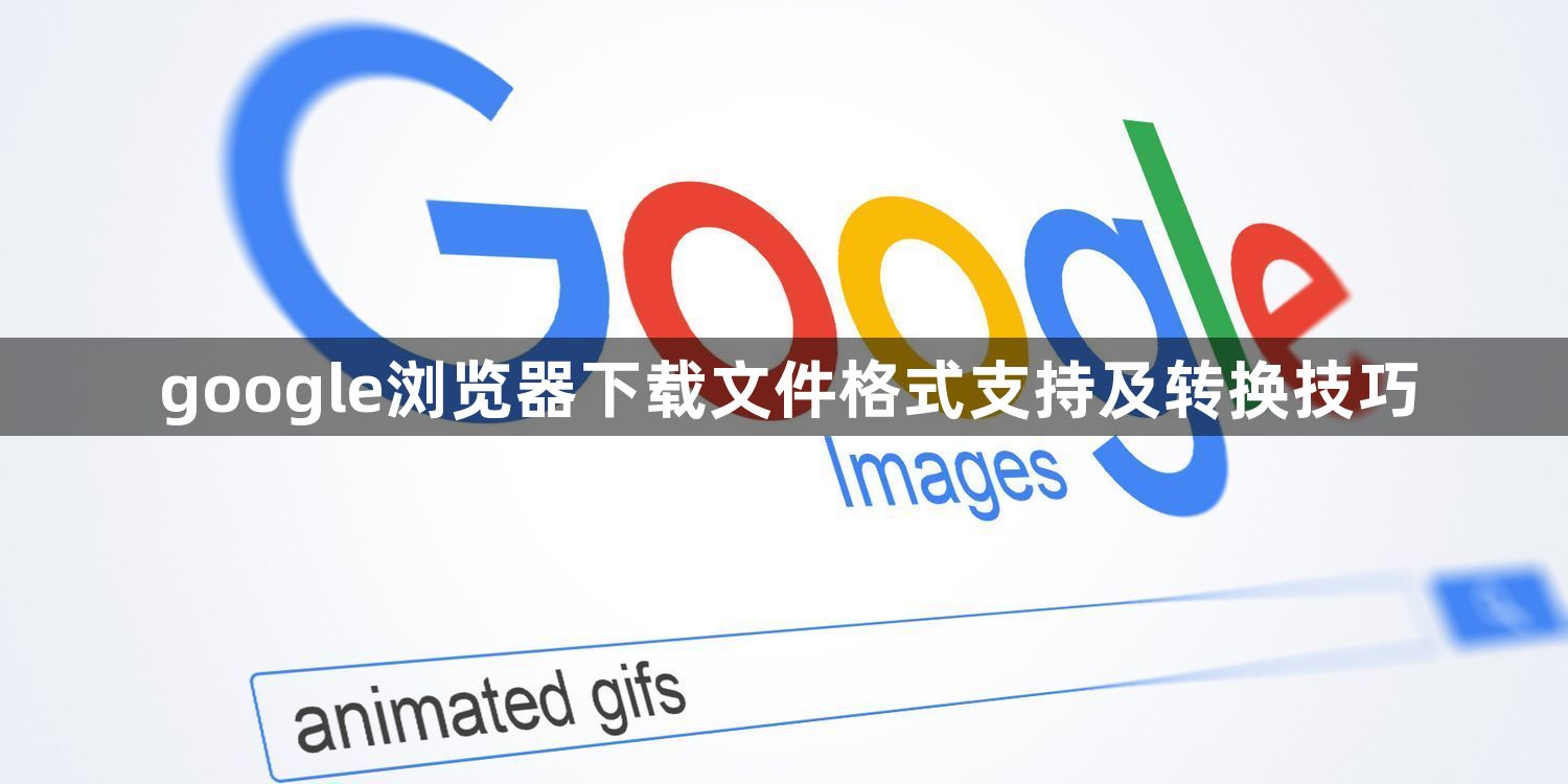 google浏览器下载文件格式支持及转换技巧1