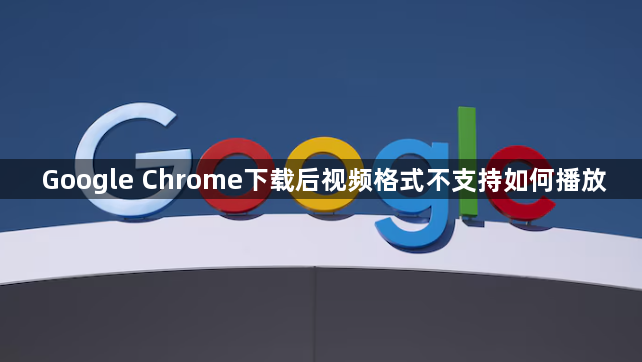 Google Chrome下载后视频格式不支持如何播放1