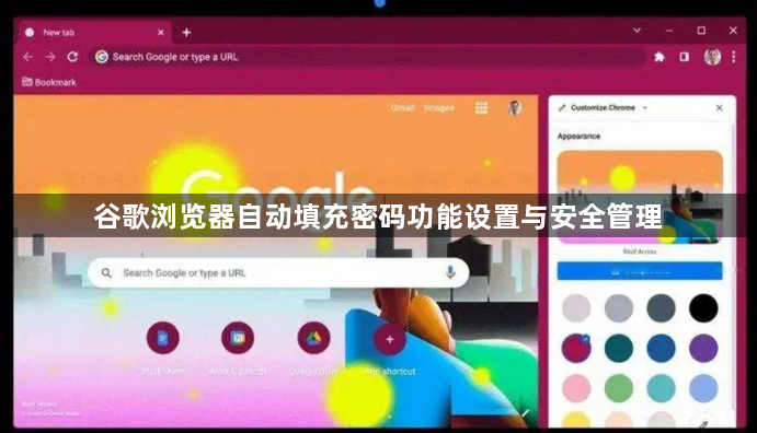 谷歌浏览器自动填充密码功能设置与安全管理1