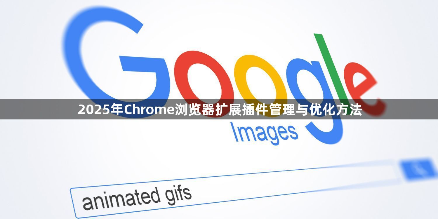 2025年Chrome浏览器扩展插件管理与优化方法1