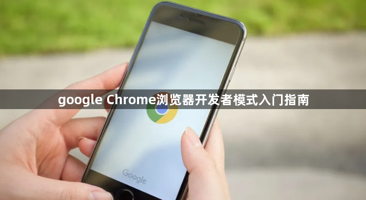 google Chrome浏览器开发者模式入门指南1