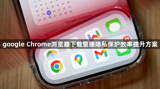 google Chrome浏览器下载管理隐私保护效率提升方案1