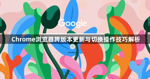 Chrome浏览器跨版本更新与切换操作技巧解析1