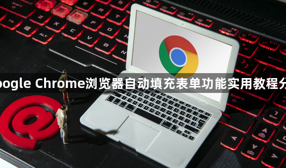 Google Chrome浏览器自动填充表单功能实用教程分享1