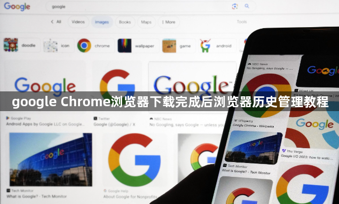 google Chrome浏览器下载完成后浏览器历史管理教程1