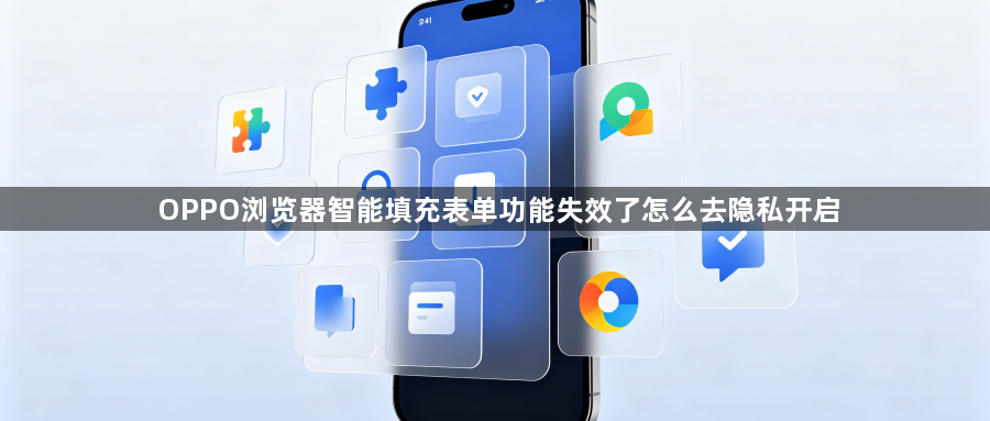 OPPO浏览器智能填充表单功能失效了怎么去隐私开启1